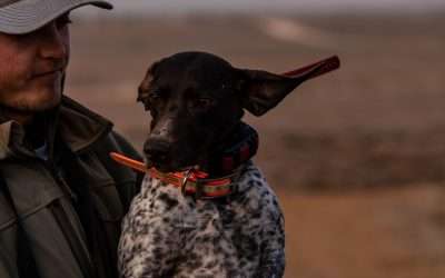 Beyond the Hunt: Activities and Amenities at T&T Game Birds