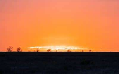 The Thrill of the Hunt: Member Stories from T&T Game Birds