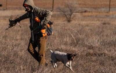 Locked and Loaded: The Big Benefits of a Game Bird Membership for Regular Hunters
