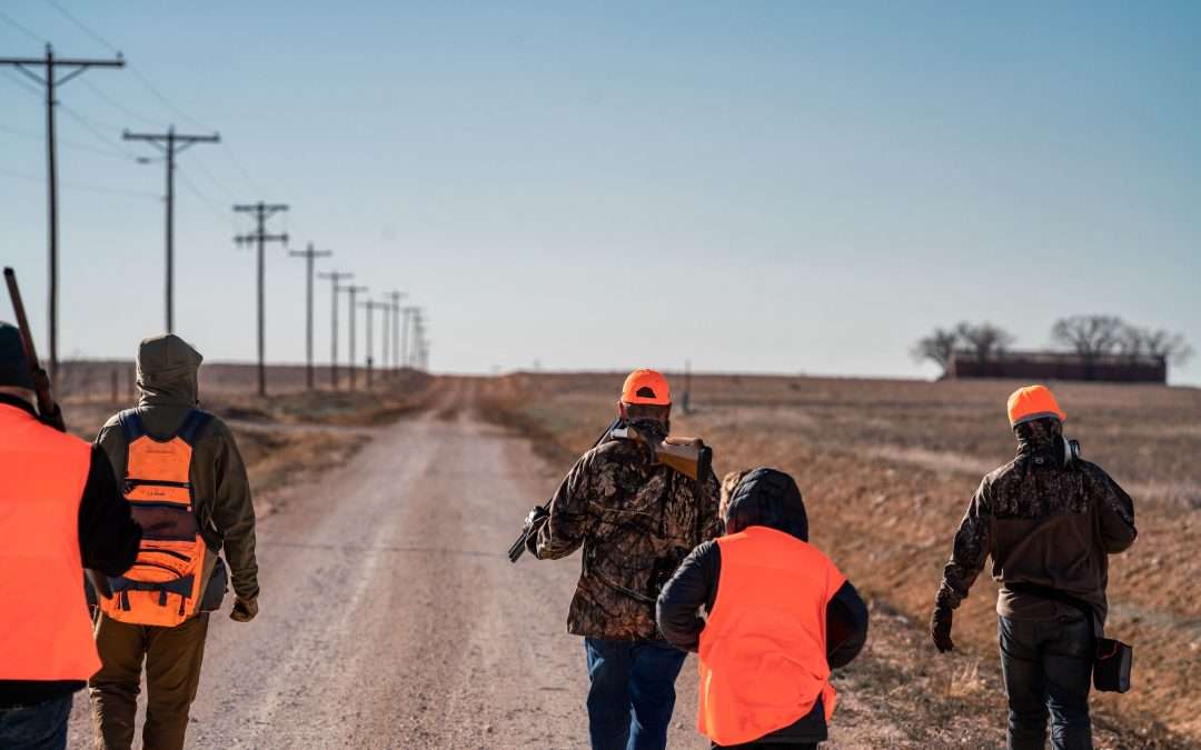 What to Expect on a Guided Quail or Chukar Hunt at T&T Game Birds