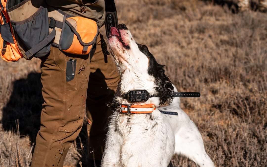 Hunting Lubbock, Texas: A Paradise for Outdoor Enthusiasts