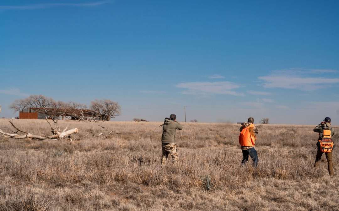 lubbock texas hunting