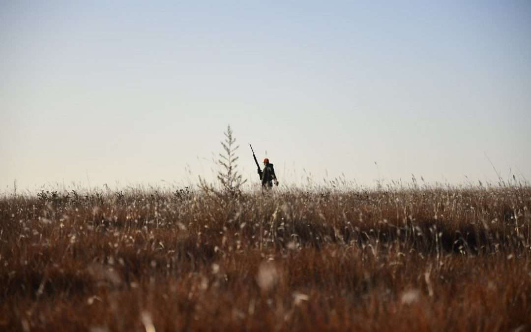 Upland Bird Hunting