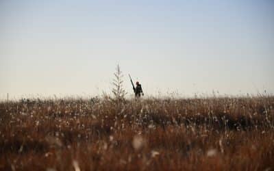 Gear Up for Success: Essential Equipment for Upland Bird Hunting