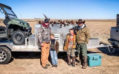 Corporate and Group Hunts: Planning a Memorable Outing