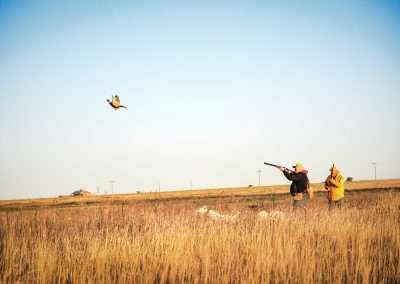 pheasant hunting in Lubbock Texas