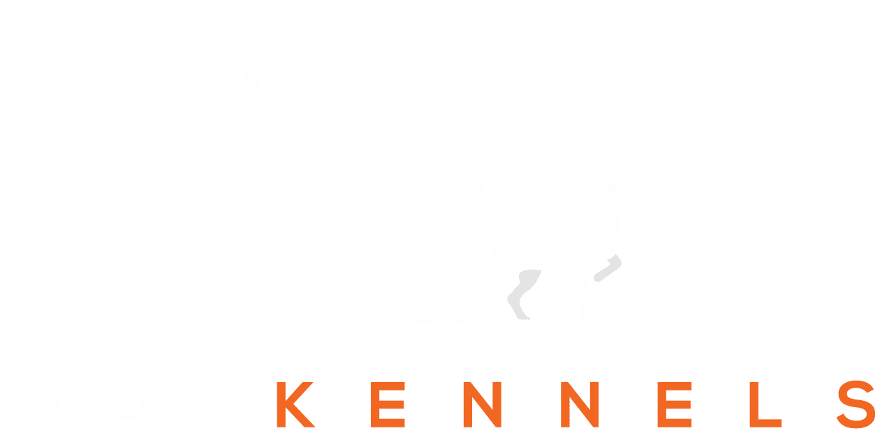 Bird Dog Training in Lubbock, TX D4 Kennels